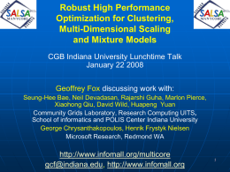 Robust High Performance Optimization for