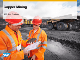 Copper Mining - SAP Help Portal