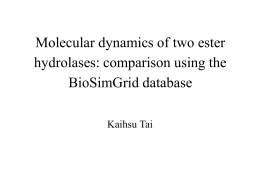 Molecular dynamics of two ester hydrolases: comparison using the