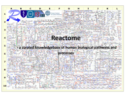 Reactome - a curated knowledgebase of human biological