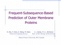 Association-Rule-Based Prediction of Outer Membrane Proteins