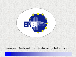 European network