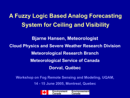 Analog forecasting of ceiling and visibility using fuzzy sets