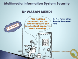 Multimedia Information System Security