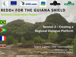 Regional Dialogue Support - REDD+ for the Guiana Shield