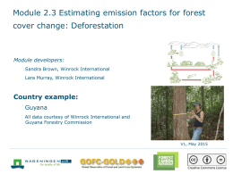 PowerPoint-presentatie - The Forest Carbon Partnership Facility