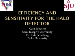 Efficiency and Sensitivity for the HALO Detector