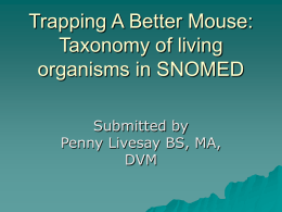 SNOMED CT Taxonomy Proposal