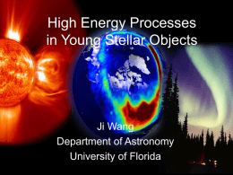 High Energy Processes in Young Stellar Objects