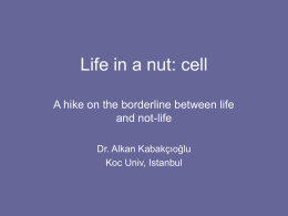 Life in a nut: cell