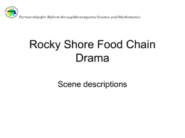 Rocky Shore Food Chain Drama - University of Hawaii at Hilo