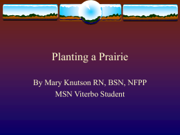 Planting a Prairie