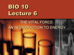 BIO 10 Lecture 2
