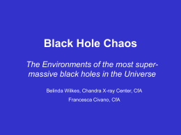 Black Hole Chaos