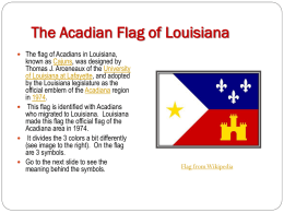 Acadian (Louisiana) Flag Description