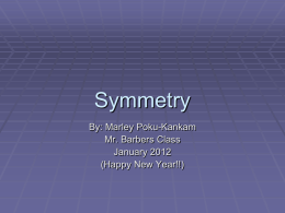 Marleys Symmetry Project