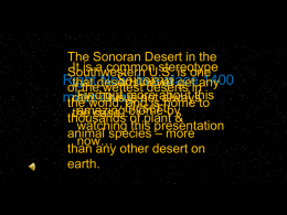 Sonoran Desert. - Wakefield Community School