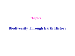 Biodiversity through Earth history