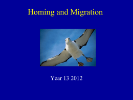 Homing and Migration
