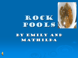 rock pools - mpc3