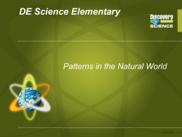 DE Science Elementary Patterns in the Natural World