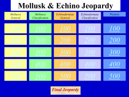 Mollusk & Echino Jeopardy - Jutzi