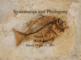 Systematics and Phylogeny