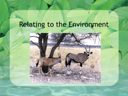 Relating to the Environment