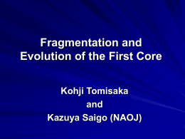 Fragmentation and Evolution of the First Core