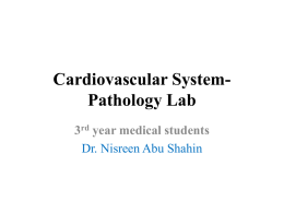 Pathology Lab-Cardiovascular System