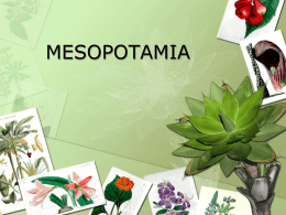 mesopotamia - CunninghamBruh:theWebsite