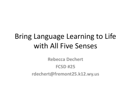 Bring Language Learning to Life with All Five Senses