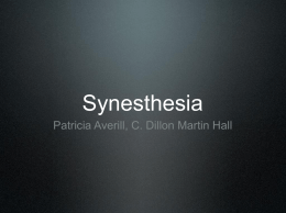 Group 7: Synesthesia