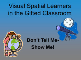 Visual Spatial Learners