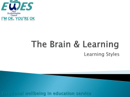 learning styles and brain