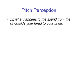 Pitch Perception