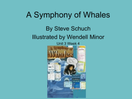 3.4 A Symphony of Whales