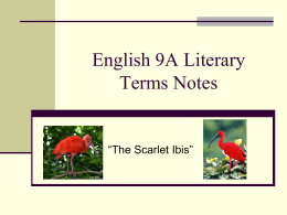 English 9A Literary Terms Notes