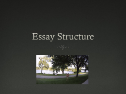 Essay Structure