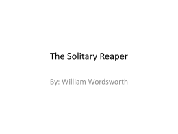 the solitary reaperx