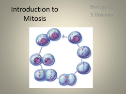 Introduction to Mitosis Biology 12 S.Dosman