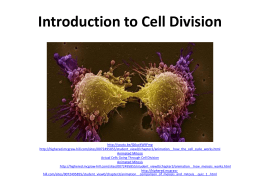 Cell Division Notes