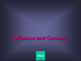 Diffusion (Dialysis Equipment)