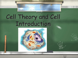 Chapter 17 Cell Intro and Theoryx