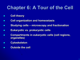 Biol 1020: A tour of the cell