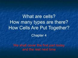 What are cells? How many types are there? How Cells Are Put