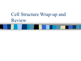 Cell Structure Wrap-up and Review