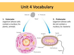 Unit 4 Vocabulary: Cells