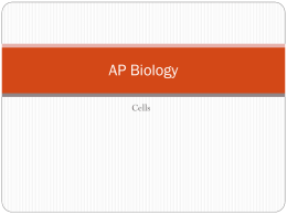 AP Biology Cells Unit 2_1