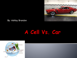A Cell Vs. Car